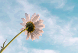 北方冬季气温最低的城市盘点寒冷极限挑战者